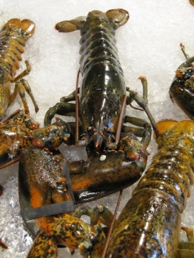 Lunch at Oceans of Seafood