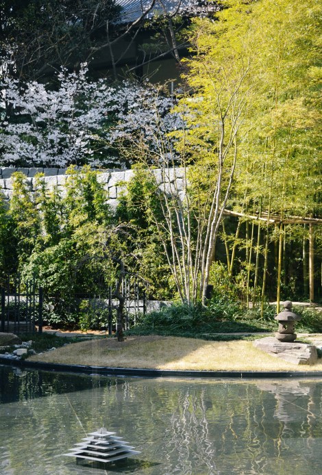 Suiren is surrounded by a beautiful garden