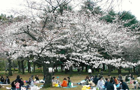 Sitting in the local park with 1000 other people?  No thanks.