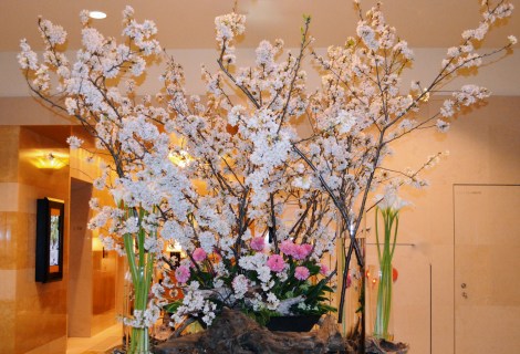 Bringing the outdoors indoors