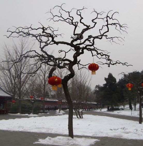 IMG_1547.JPG (1).jpg