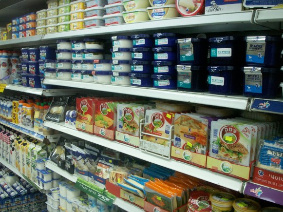 KONICA MINOLTA DIGITAL CAMERA